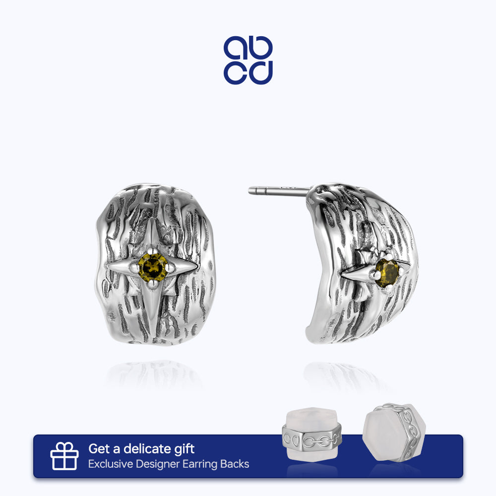 ABCD 1 pair 925 Sterling Silver Fashion C Earrings Octagram Zircon Ear Pin Punk Unique Daily Jewelry Gifts for Women Man